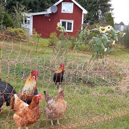 Stuga Asnagard Torsby Esterno foto