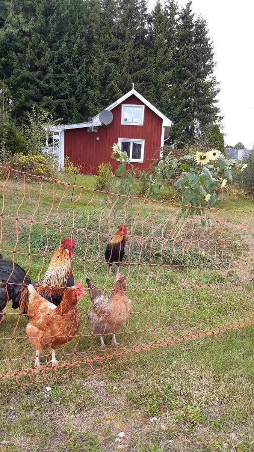 Stuga Asnagard Torsby Esterno foto